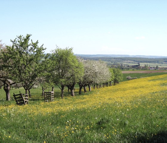 Vier-Jahreszeiten-Spaziergang Niederweiler, © Tourist-Information Bitburger Land_Doris Welter