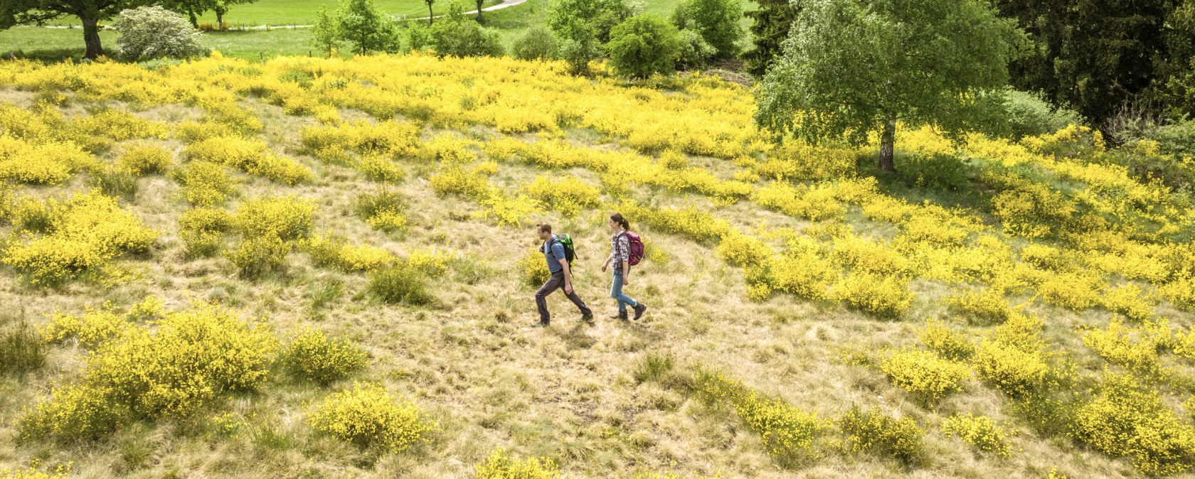 ET-2022-158-Naturwanderpark Deluxe, Eifel-Gold Route, Irsental bei Daleiden-© Eifel Tourismus GmbH, Dominik Ketz, © Eifel Tourismus GmbH, Dominik Ketz