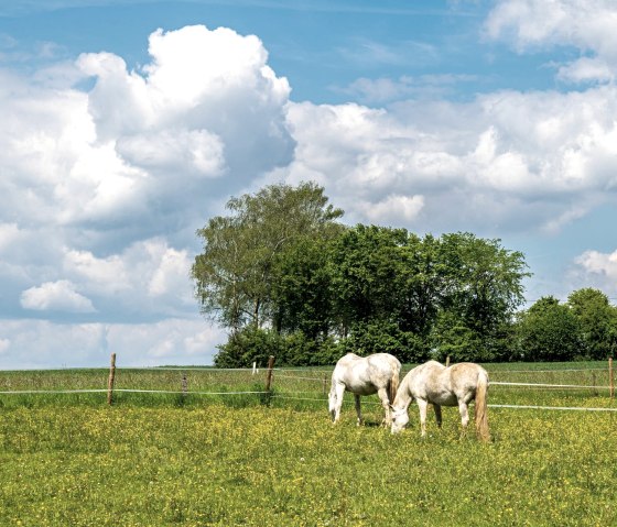 1920__output_Buero_140523_Orsfeld_Ferienwohnung_A7