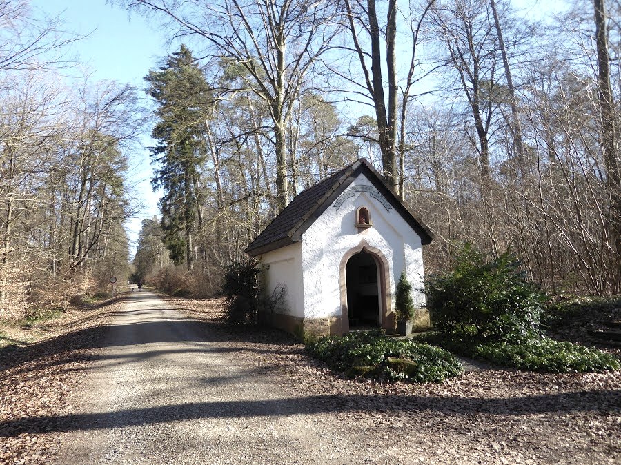 Bildchen am Schönfelderweg in Speicher, © Eifelverein Ortsgruppe Speicher