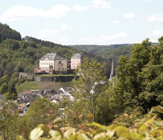 Blick auf Schloss Malberg aus dem Annenberg, © TI Bitburger Land