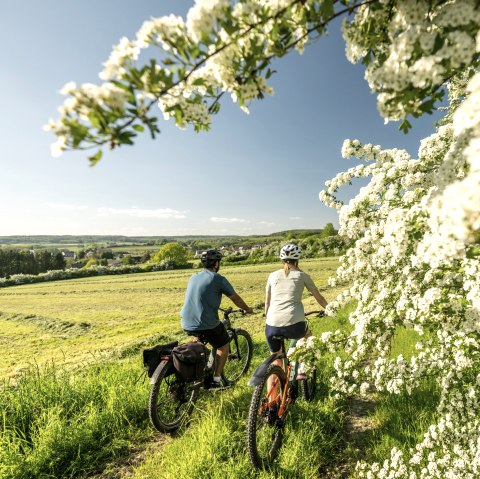 ET-2023-142-Nims Radweg, Messerich-©Eifel Tourismus GmbH, Dominik Ketz, © Eifel Tourismus GmbH, Dominik Ketz