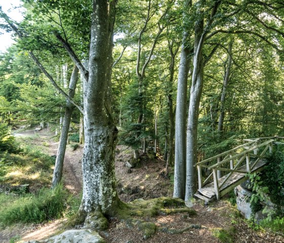 Idyllischer Wanderweg an der Schankweiler Klause auf dem Klausnerweg, © Eifel Tourismus GmbH, D. Ketz