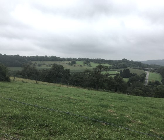 Ausblick Wanderweg W2, © TI Bitburger Land