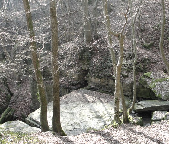 Die Tanzlay, eine gewaltige Sandsteinplatte im romantischen Diefenbachtal, © NaturAktivErleben