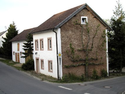 Obstbaum am Hausgiebel, © Conny Meier