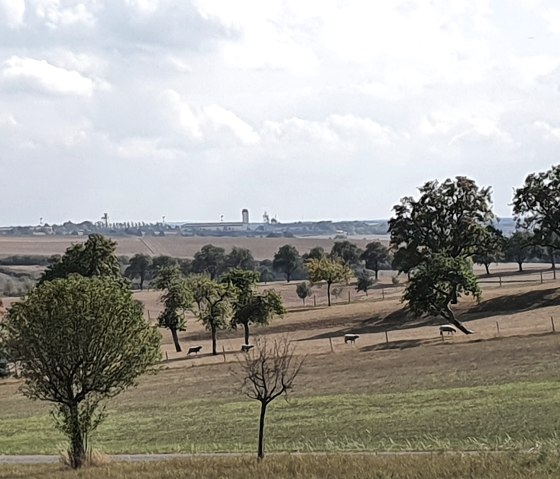 Weitblick auf die AirBase Spangdahlem, © TI BItburger Land - Steffi Wagner