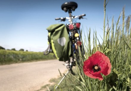 Fahrrad Mohn