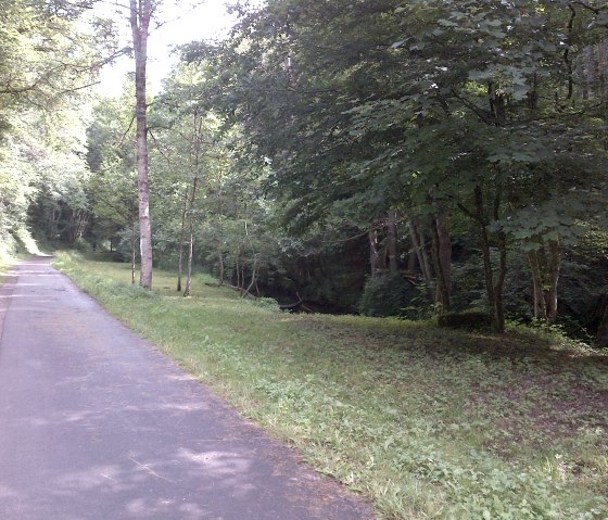 Weg durch das Kallenbachtal, © TI Bitburger Land