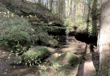 Rundwanderweg - Röhler Kreuzweg, © B. Milbach