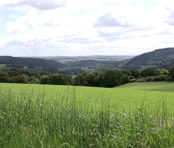 Kleine Wunder am Wegesrand, © Tourist-Information Bitburger Land