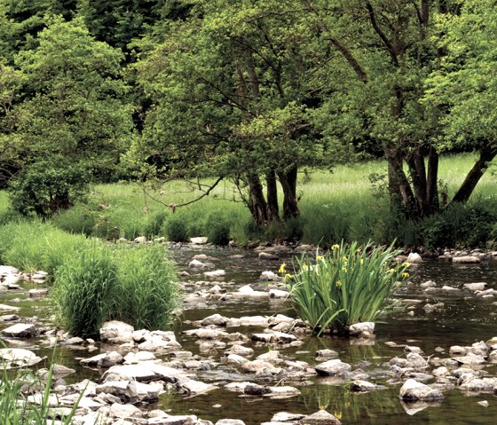 Der Fluss Prüm auf dem Prümtalweg, © Naturpark Südeifel, Pierre Haas