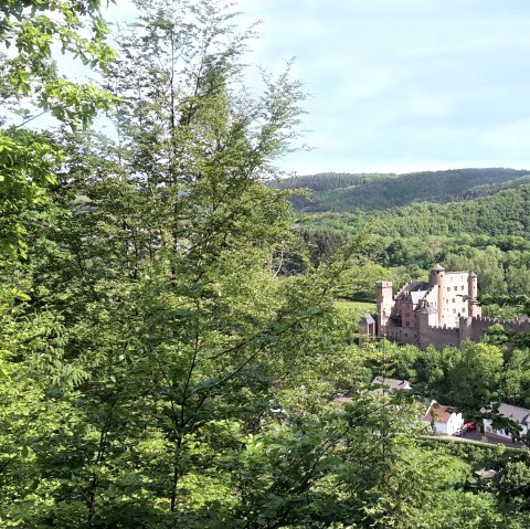 Panoramablick auf Schloss Hamm - einfach märchenhaft, © TI Bitburger Land