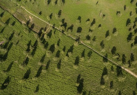 Luchtfoto van de Struffeltse Heide op de Eifelsteig, © Eifel Tourismus GmbH, D. Ketz