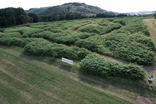 Naturlabyrinth von oben, © TI Bitburger Land