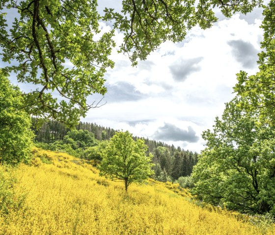 ET-2022-140-Naturwanderpark Deluxe, Eifel-Gold Route, Irsental bei Daleiden-© Eifel Tourismus GmbH, Dominik Ketz, © Eifel Tourismus GmbH, Dominik Ketz