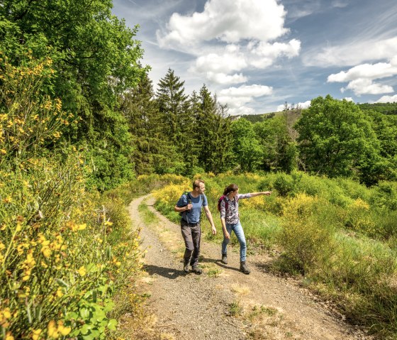 ET-2022-109-Naturwanderpark Deluxe, Eifel-Gold Route, Irsental bei Daleiden-© Eifel Tourismus GmbH, Dominik Ketz, © Eifel Tourismus GmbH, Dominik Ketz