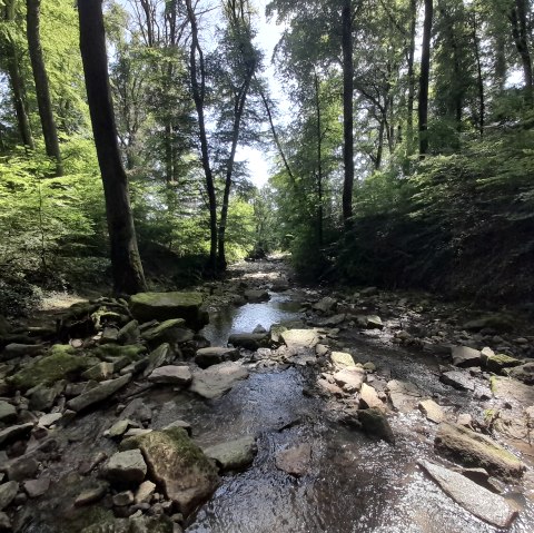 Mertert_Bachlauf, © Deutsch-Luxemburgische Tourist Info