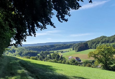 Vue panoramique sur la vallée de l'Enz, © TI BItburger Land - Steffi Wagner