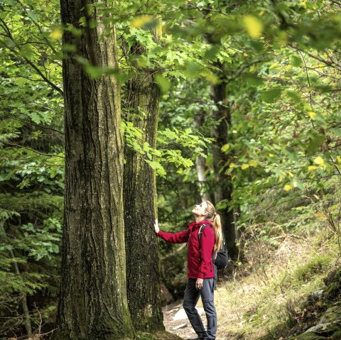 Stressmanagement, © Eifel Tourismus GmbH, Dominik Ketz