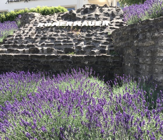 Lavendelgarten an der Römermauer, © TI Bitburger Land - Steffi Wagner