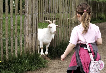 Urlaub auf dem Bauernhof