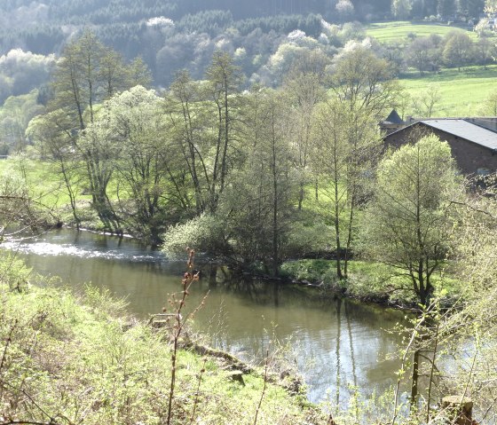 Blick auf die Kyll vor Zendscheid, © NaturAktivErleben