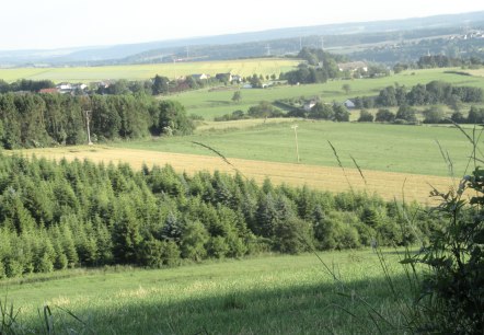 Nattenheimer-Hexenweg-2, © Geschichtlicher Arbeitskreis Nattenheim