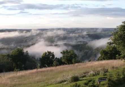 Panoramablick mit Ruhebank am Staudengraben - Spangweg Speicher, © Eifelverein Ortsgruppe Speicher