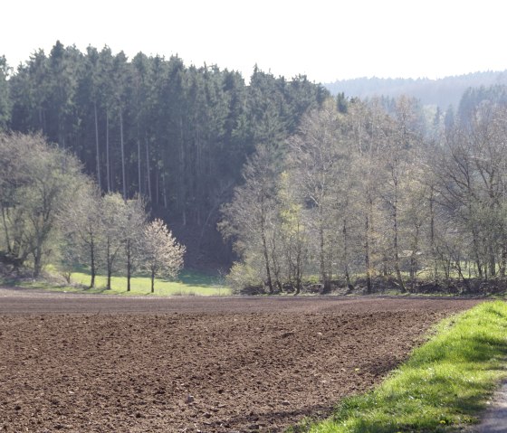 Wanderweg N1 - Am Wasserhäuschen, © M. Bach