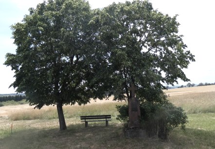 Schattige Ruhebank am Weg, © TI Bitburger Land