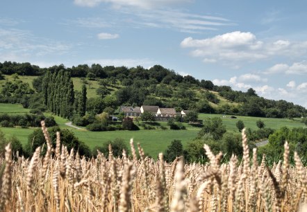 Römische Villa Otrang bei Fließem, © Ferienregion Bitburger Land