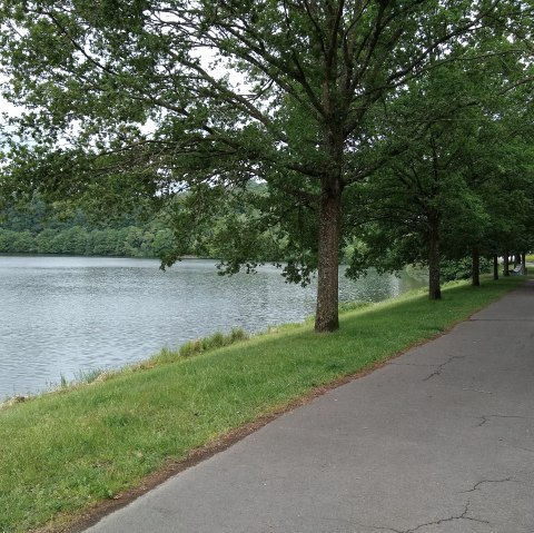 Barrierefreier Weg am Stausee Bitburg, © Naturpark Südeifel