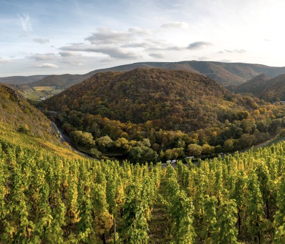 Altenahrer Eck, © Dominik Ketz / Rheinland-Pfalz Tourismus GmbH