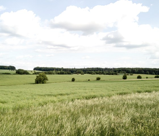 Landschaftsaufnahme Idenheim, © Ingrid Penning