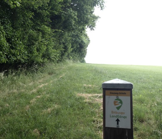 Wegmarkierung am Waldrand bei Seffern, © TI Bitburger Land