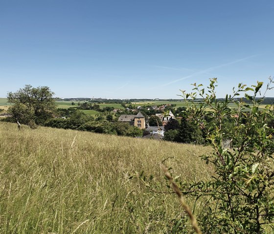 Blick auf die Burg Dudeldorf, © Tourist-Information Bitburger LandGang _ S. Wagner