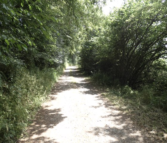 Auf dem Wanderweg, © TI Bitburger Land