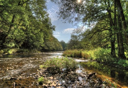 Am Ufer der Prüm auf der Stausee-Prümtalroute