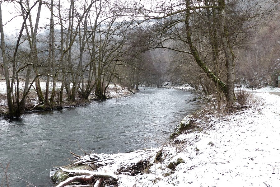 Ringweg - Klaus-Thiel-Weg in Speicher, © Eifelverein Ortsgruppe Speicher