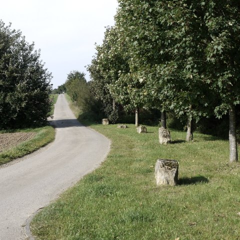 Wanderweg Badem B2, © Berscheid