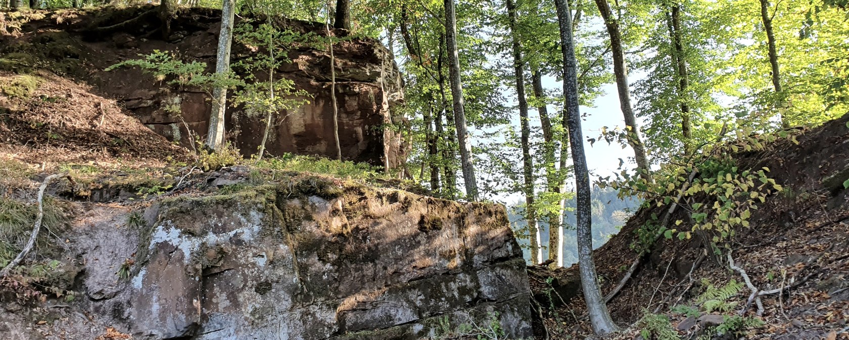 Gewässerlehrpfad Echtersbach, © Tourist-Info Bitburger Land