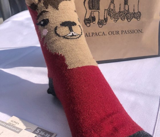 Socken aus wärmender Alpaka-Wolle, © TI Bitburger Land