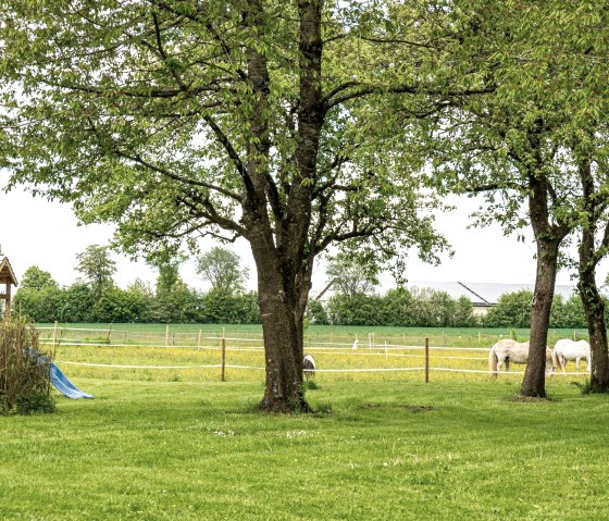 1920__output_Buero_140523_Orsfeld_Ferienwohnung_A7