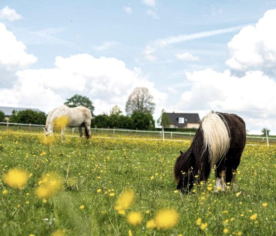 1920__output_Buero_140523_Orsfeld_Ferienwohnung_A7