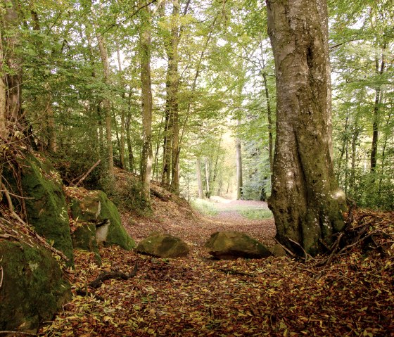 verträumte Landschaft - Rundwanderweg Nr. 89, © Tourist-Info Bitburger Land