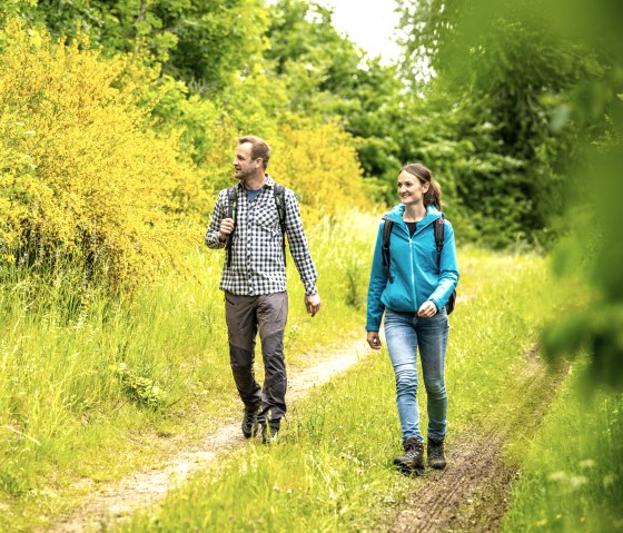 Wandern durch blühenden Ginster, © Eifel Tourismus GmbH, Dominik Ketz