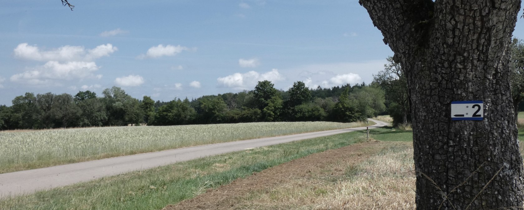 Wanderweg mit Beschilderung, © TI Bitburger Land