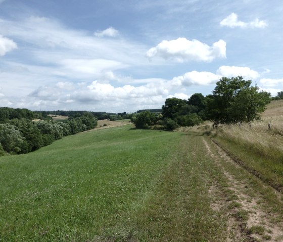 Gemütliches Wandern oberhalb des Stillegrabens, © NaturAktivErleben