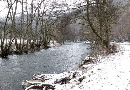 Ringweg - Klaus-Thiel-Weg in Speicher, © Eifelverein Ortsgruppe Speicher